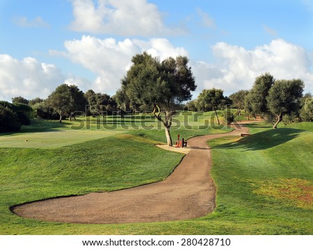 Sunny morning on a golf course, green grass and blue sky