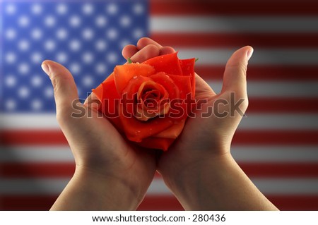 hands holding a red rose, blurred american flag in the background