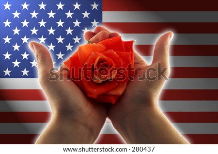 glowing hands holding a red rose, clear american flag in the background