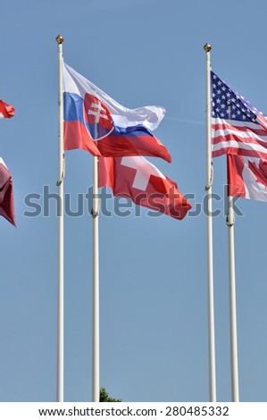 flags of states on masts