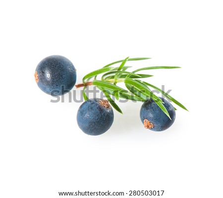 Juniper berries on a white background close-up Royalty-Free Stock Photo #280503017