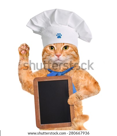 Cat chef.