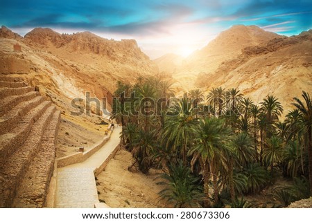 View of mountain oasis Chebika, Sahara desert, Tunisia, Africa Royalty-Free Stock Photo #280673306