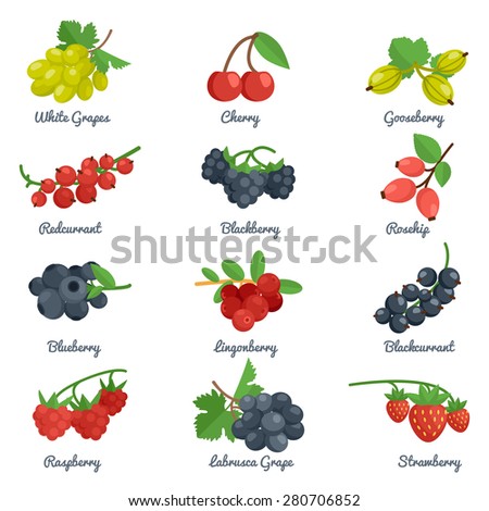 Berries flat icons set with grape cherry gooseberry blackberry isolated vector illustration Royalty-Free Stock Photo #280706852