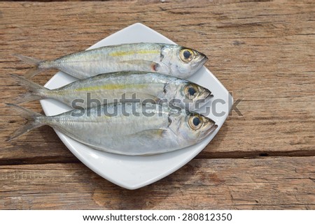 Fresh mackerel fish in plate on wooden table