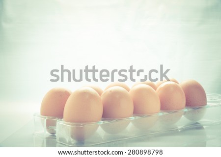 Egg collection isolated on white background   - Vintage retro picture style