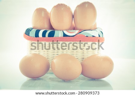 Egg collection isolated on white background  - Vintage retro picture style
