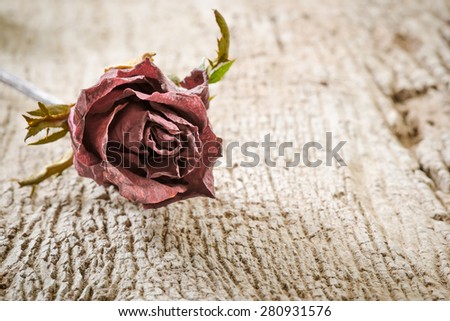 Dry Red Rose on Old Wooden Background