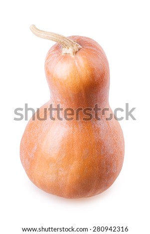 pumpkin Isolated on white background