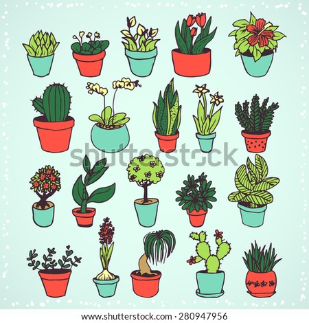 set of colorful hand drawn plants in pots