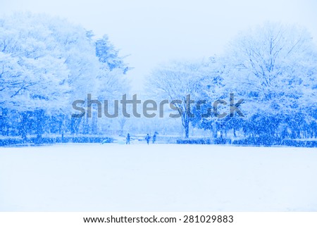 Snow, snow scene, covered with snow in Japan  
