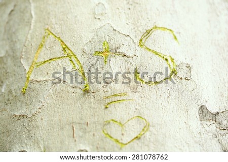 Love message carved in tree close-up