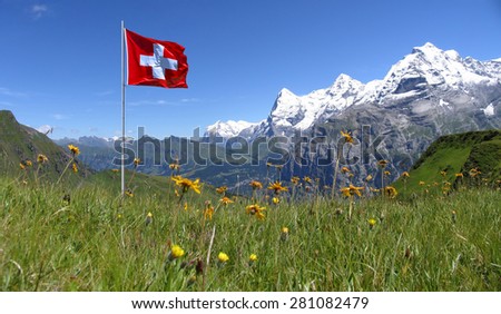Swiss beauty, under Jungfrau