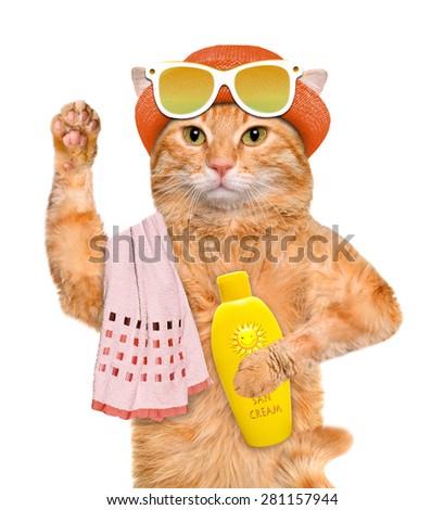 Cat with sunblock. Isolated on white.