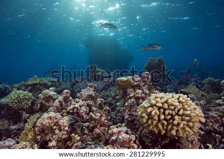 Reef scenic Kingman Reef. Royalty-Free Stock Photo #281229995