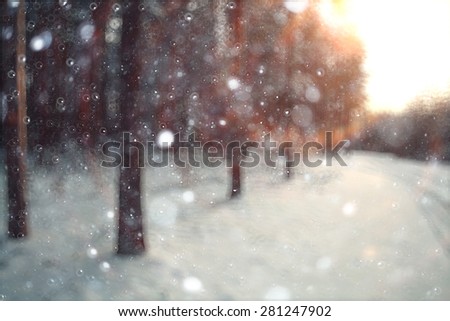 blurred background forest snow winter
