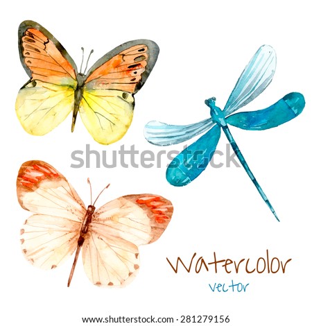 Watercolor set with butterflies and dragonfly. Vector isolated art insects in vector.