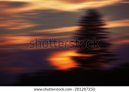 Abstract blurred background. Soft focus image of sunset clouds and pine tree