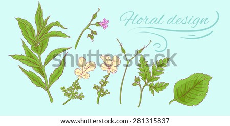 set of isolated floral elements of branches with leaves 2