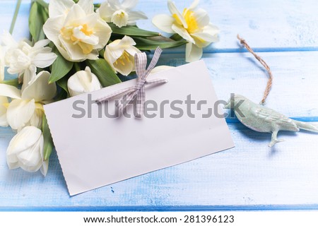 Fresh  spring white tulips and narcissus flowers and empty tag   on blue  painted wooden background. Selective focus is on tag. Place for text.  Toned image.