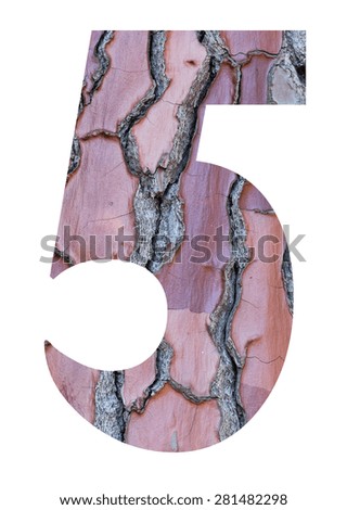 Numbers from pine bark isolated on white background, number - 5.
