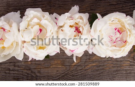 Floral frame with pink peonies on wooden background 