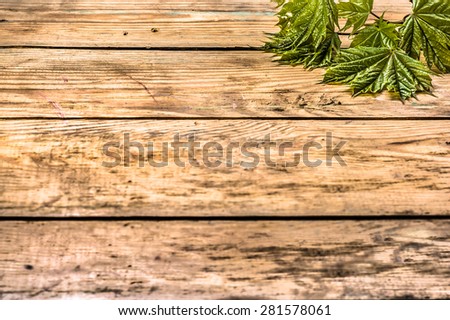 Maple leaves on vintage wood background with copy space