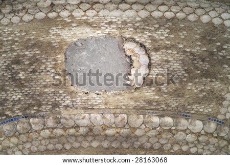 decorated wall with seashells and free copy space - grunge