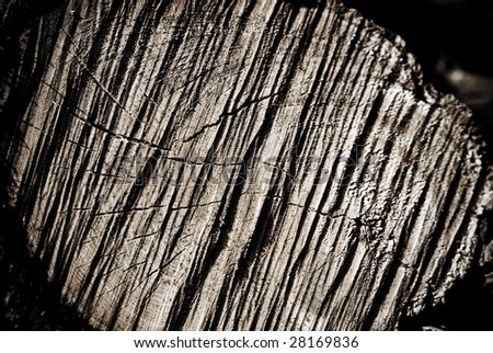 Abstract old wood texture