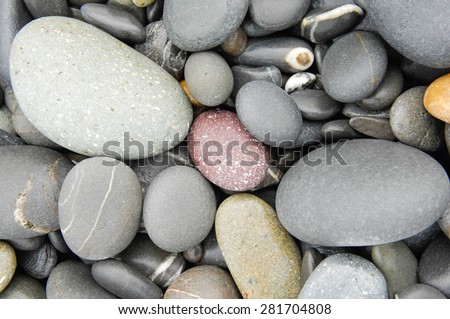Tropical beach wet pebbles 