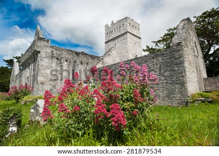Muckross Abbey in county kerry, Ireland Royalty-Free Stock Photo #281879534