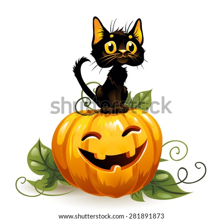 Black cat on a Halloween pumpkin. White background.