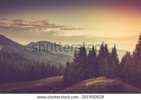 Summer mountain landscape. Tourist tents near forest. Filtered image:cross processed vintage effect. Royalty-Free Stock Photo #281900828