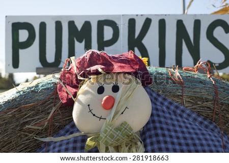A close up of a smiling scarecrow with a pumpkins sign above.