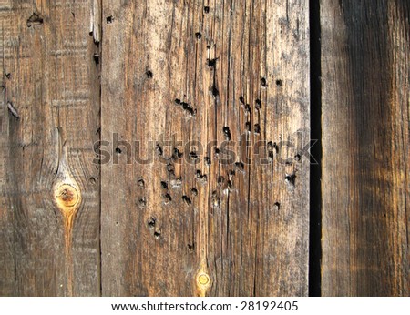 Seamless horizontal tiling wood fence texture