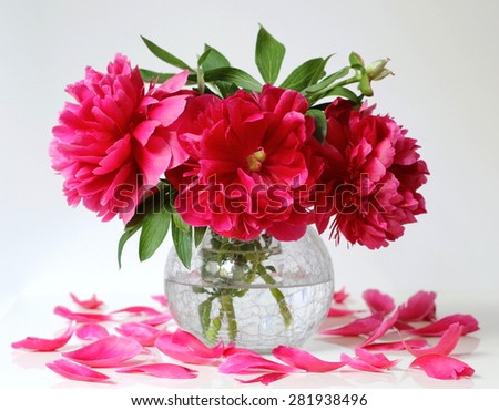 Still life with bouquet of red peonies in a vase and petals.