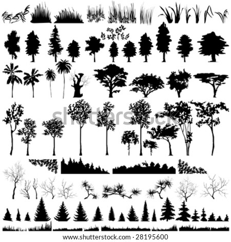 Detailed vectoral tree, leaf, branch and grass  silhouettes.