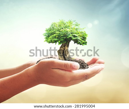 World environment day concept: Human hands holding big tree over blurred abstract beautiful green nature background Royalty-Free Stock Photo #281995004