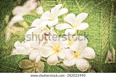 Plumeria flowers in mulberry paper texture style vintage for background.