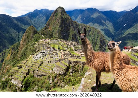 Llama at Historic Lost City of Machu Picchu - Peru Royalty-Free Stock Photo #282046022
