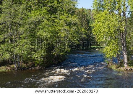 River landscape in spring