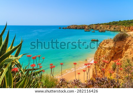 Tropical flowers on beautiful Praia da Rocha beach, Algarve region, Portugal Royalty-Free Stock Photo #282116426