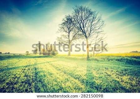 Vintage photo of beautiful springtime idyllic sunrise over young cereal field. Beautiful polish countryside.