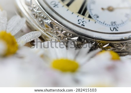 pocket watch in a beautiful romantic flowers, detail makro