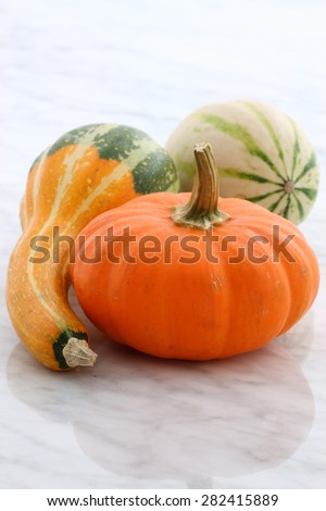 Beautiful organic assorted pumpkins or summer squash on carrara marble countertop 