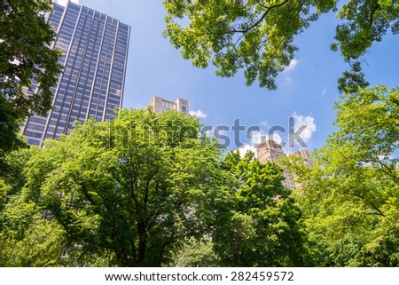 Manhattan buildings framed by Central Park trees.