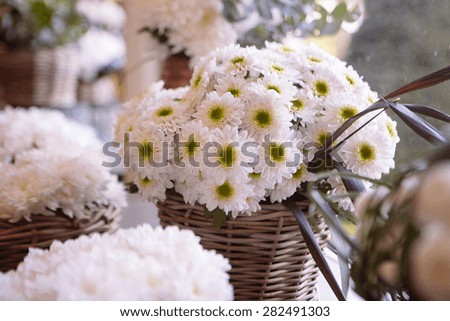 beautiful white flower in the basket