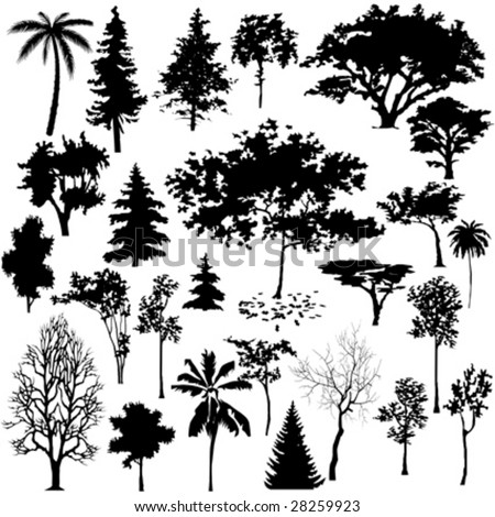 Detailed vectoral tree silhouettes.