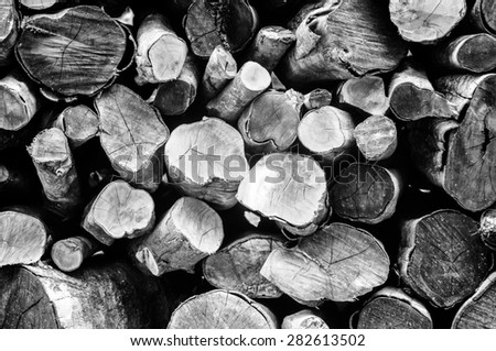 A pile of cut tree for background, Black and white photo.