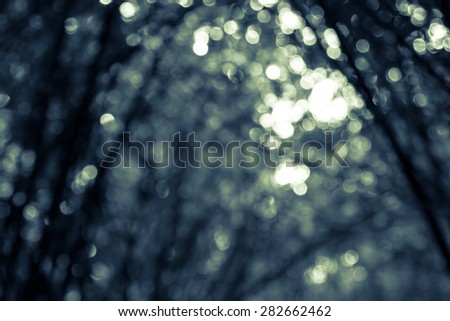 Green bokeh background from tree abstract background,Sepia tone